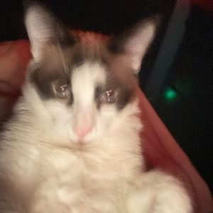 Meet your Posher, Christopher